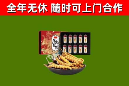 泰州烟酒回收冬虫夏草礼盒.jpg